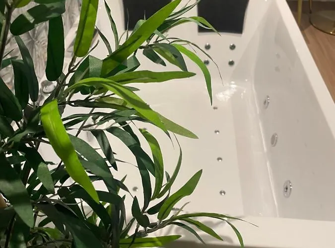 בית הארחה Exclusive אפריליה