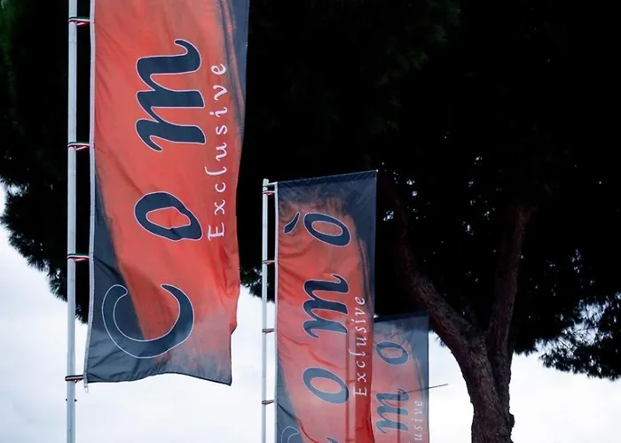 Exclusive בית הארחה