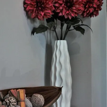 Comó Exclusive Vendégház Aprilia